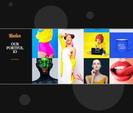 VisualModo Nectar WordPress Theme
