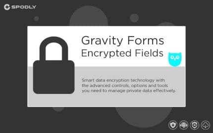 Gravity Forms Encrypted Fields