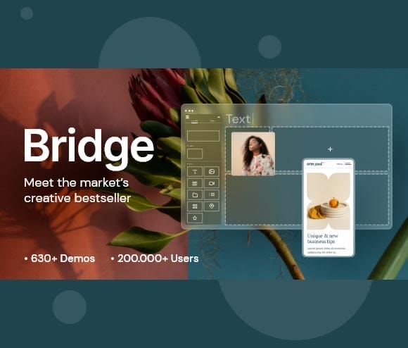 Gpl Theme Bridge - Creative Elementor and WooCommerce WordPress Theme