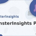 Wordpress Plugin MonsterInsights Pro